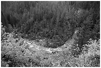 Bend of Agnes Creek from above in autumn, Glacier Peak Wilderness.  ( black and white)