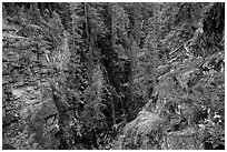 Waterfall, Agnes Gorge, Glacier Peak Wilderness.  ( black and white)