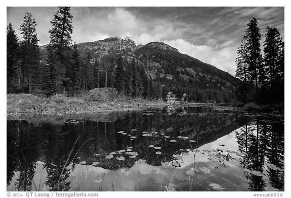 McGregor Mountain reflected in Coon Lake, North Cascades National Park Service Complex.  (black and white)