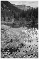 Mountains reflected in Coon Lake in autumn, North Cascades National Park Service Complex.  ( black and white)