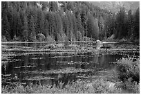 Coon Lake reflections, Stehekin, North Cascades National Park Service Complex.  ( black and white)