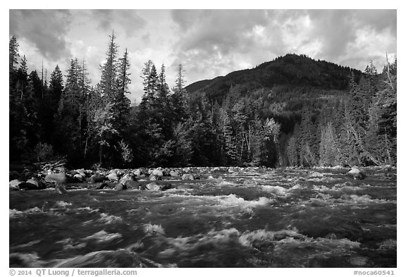 Stehekin River, looking up valley, North Cascades National Park Service Complex.  (black and white)