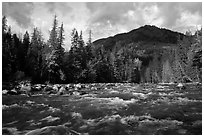 Stehekin River, looking up valley, North Cascades National Park Service Complex.  ( black and white)