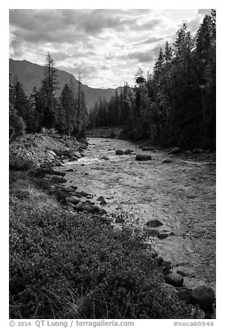 Stehekin River flows in Stehekin Valley, North Cascades National Park Service Complex.  (black and white)