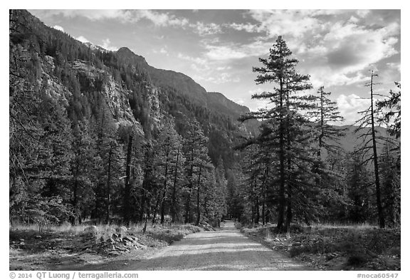 Road, Stehekin Valley, North Cascades National Park Service Complex.  (black and white)