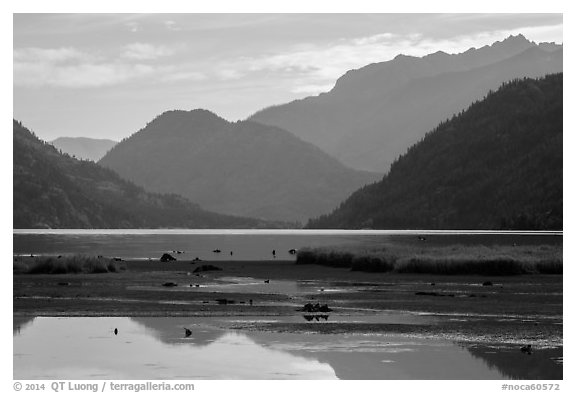 Pond and Lake Chelan, Stehekin, North Cascades National Park Service Complex.  (black and white)