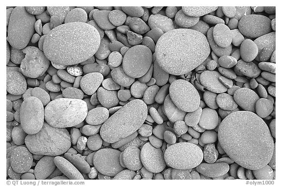 Round pebbles on beach. Olympic National Park (black and white)