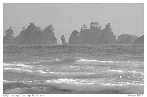 Waves and seastacks, Shi-Shi Beach. Olympic National Park (black and white)