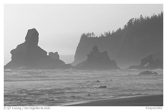 Sea stacks and arch on Shi-Shi Beach. Olympic National Park (black and white)