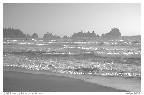 Seastacks, Shi-Shi Beach. Olympic National Park (black and white)