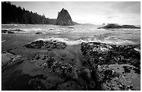 Tidepool at Rialto beach. Olympic National Park ( black and white)