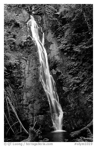 Mossy waterfall , Elwha valley. Olympic National Park (black and white)