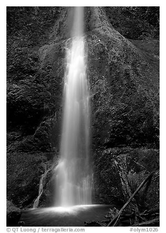 Marymere falls, spring. Olympic National Park (black and white)