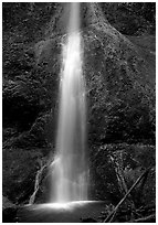 Marymere falls, spring. Olympic National Park ( black and white)