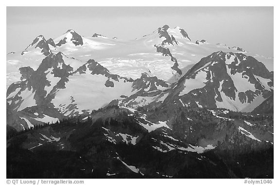 Mount Olympus at sunrise. Olympic National Park (black and white)