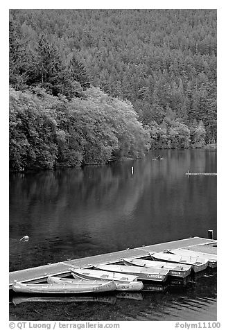 Small boats moored in emerald waters in Crescent Lake. Olympic National Park (black and white)