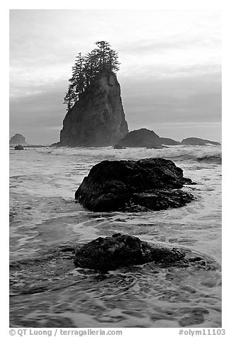 Rocks, seastacks and surf, Second Beach. Olympic National Park (black and white)