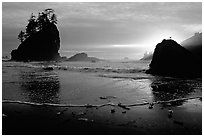 Beach, seastacks and rock with bird, Second Beach, sunset. Olympic National Park, Washington, USA. (black and white)