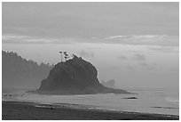 Seastack, Second Beach, dusk. Olympic National Park, Washington, USA. (black and white)