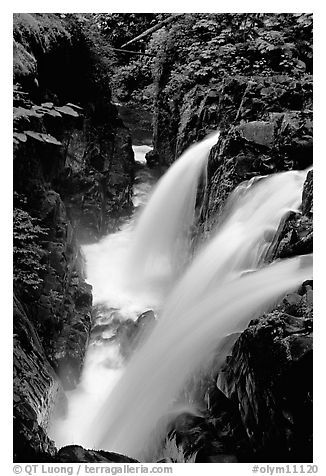 Sol Duc falls. Olympic National Park (black and white)