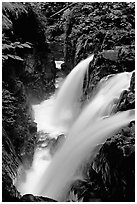 Sol Duc falls. Olympic National Park, Washington, USA. (black and white)