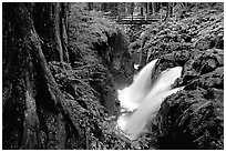 Sol Duc falls and footbridge. Olympic National Park, Washington, USA. (black and white)