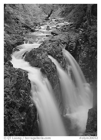 Sol Duc river and falls. Olympic National Park (black and white)