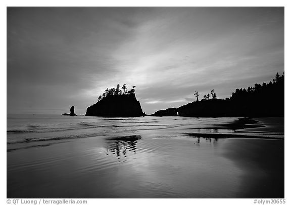 Seastacks reflected at sunset on wet sand, Second Beach. Olympic National Park (black and white)