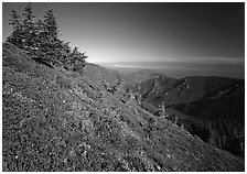 Looking towards  Strait of San Juan de Fuca from Hurricane hill. Olympic National Park ( black and white)