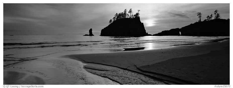 Stream and beach at sunset. Olympic National Park (black and white)