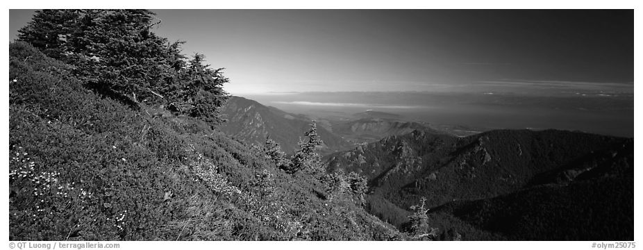 View over marine straight from mountains. Olympic National Park (black and white)