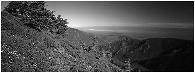 View over marine straight from mountains. Olympic National Park (Panoramic black and white)