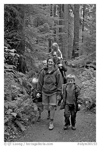Family walking on forest trail. Olympic National Park (black and white)