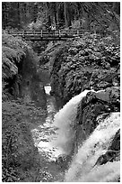 Sol Duc waterfall and bridge. Olympic National Park, Washington, USA. (black and white)