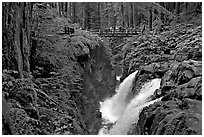 Soleduc falls and bridge. Olympic National Park, Washington, USA. (black and white)