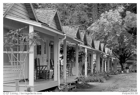 Cabins of Crescent Lake Lodge. Olympic National Park (black and white)