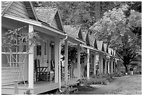 Cabins of Crescent Lake Lodge. Olympic National Park, Washington, USA. (black and white)