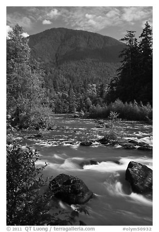 Elwha River. Olympic National Park (black and white)