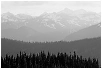 Hazy view of ridges and Olympic mountains. Olympic National Park ( black and white)