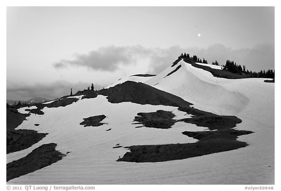 Neve on hill at dusk near Obstruction Point. Olympic National Park (black and white)