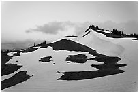 Neve on hill at dusk near Obstruction Point. Olympic National Park ( black and white)