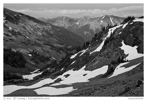 Badger Valley. Olympic National Park (black and white)