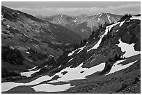 Badger Valley. Olympic National Park ( black and white)