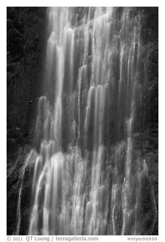 Marymere Falls close-up. Olympic National Park (black and white)