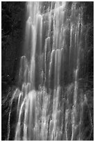 Marymere Falls close-up. Olympic National Park ( black and white)