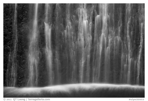 Ethereal waters, base of Marymere Fall. Olympic National Park (black and white)