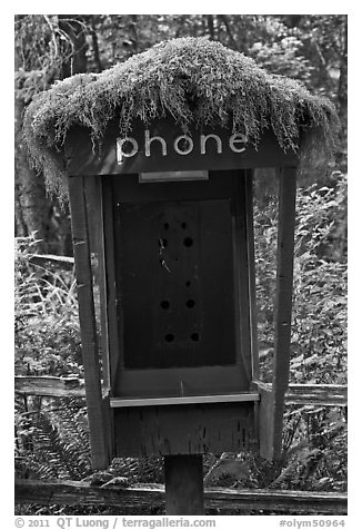 Phone booth covered by moss. Olympic National Park (black and white)