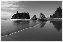 Ruby Beach, afternoon. Olympic National Park ( black and white)