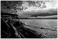 Lake Quinault from July Creek. Olympic National Park ( black and white)