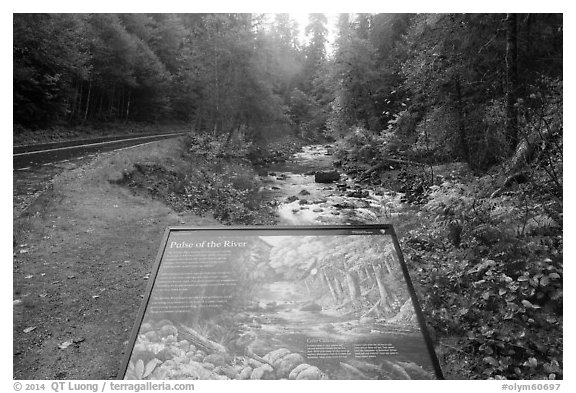 Sol Duc River interpretive sign. Olympic National Park (black and white)